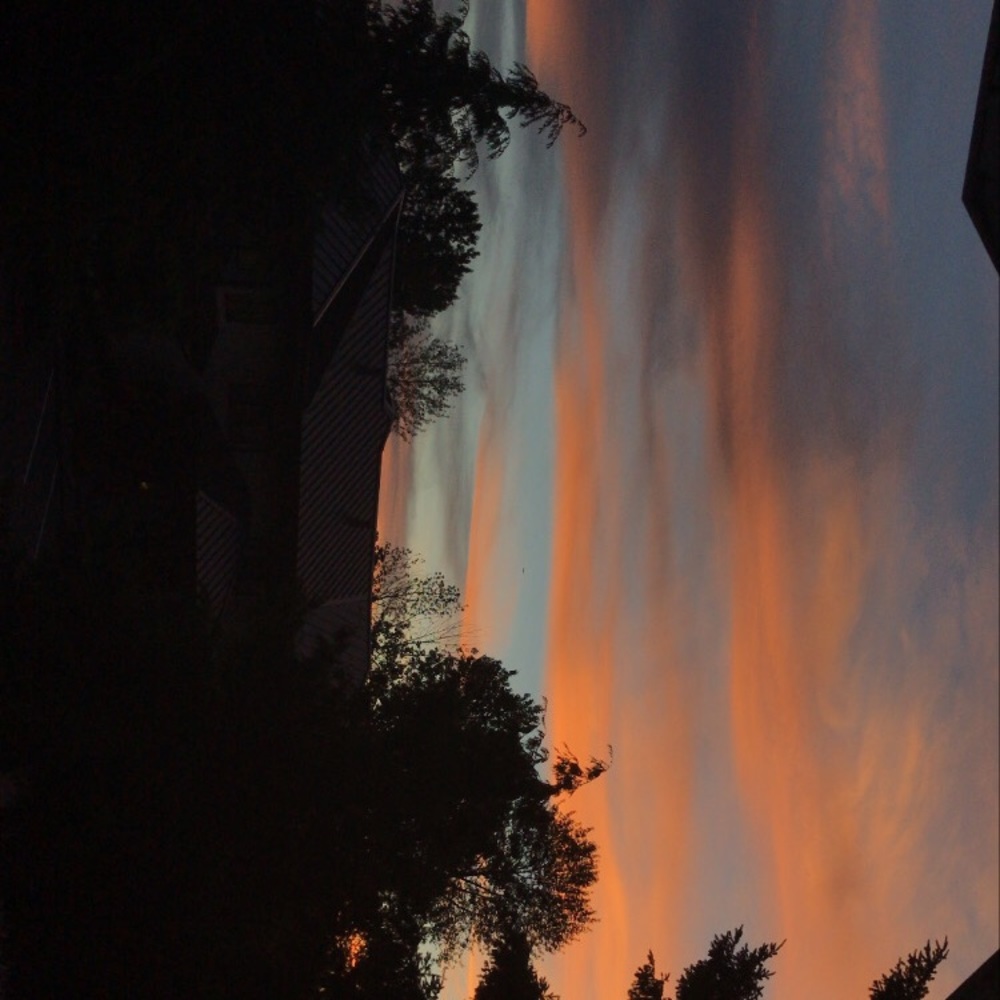 Meet your Posher, Lilian